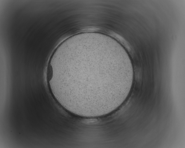 X0000100501186200807111137