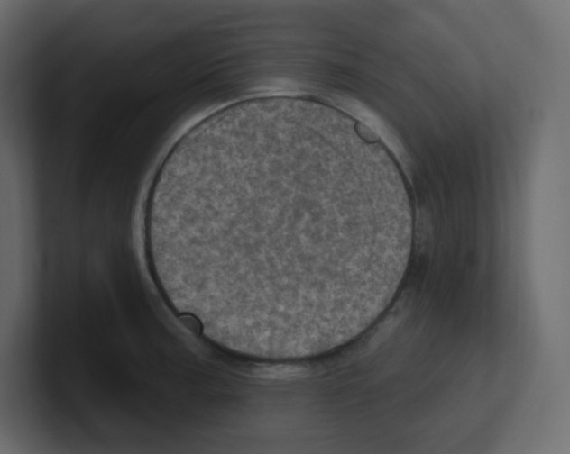 X0000100501187200807111137