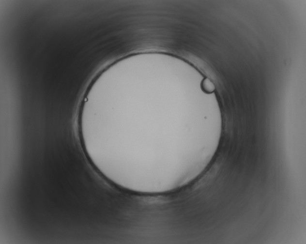 X0000100501189200807111137