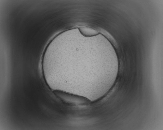 X0000100501190200807111137