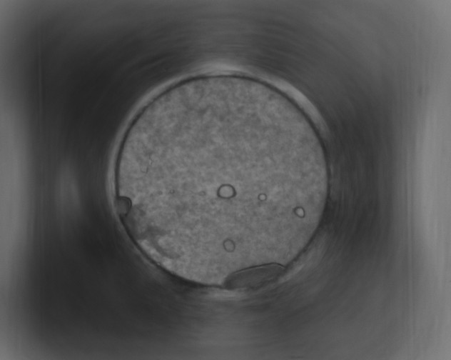 X0000100501191200807111137