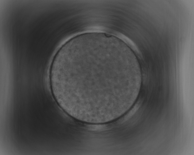 X0000100501192200807111137