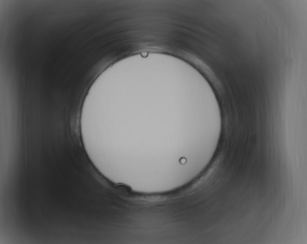 X0000100501193200807111137