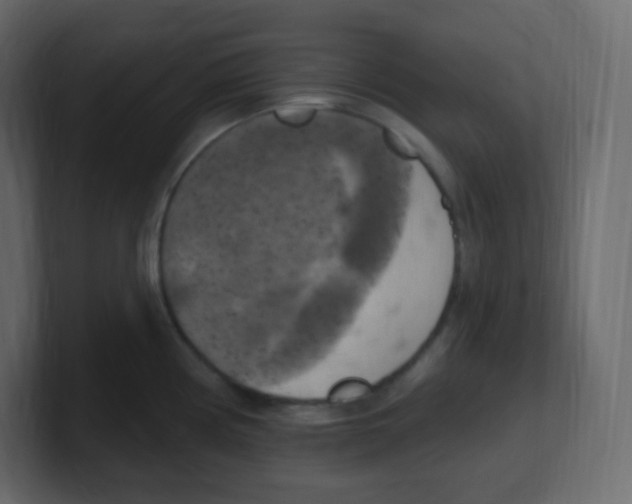 X0000100501194200807111137