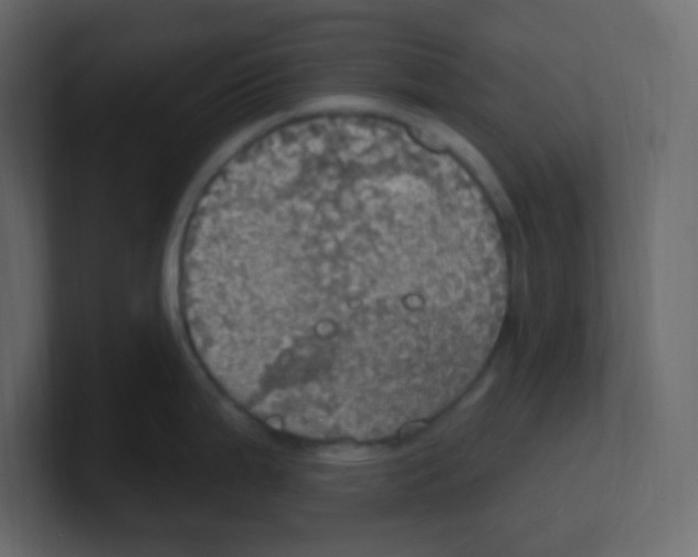 X0000100501199200807111137