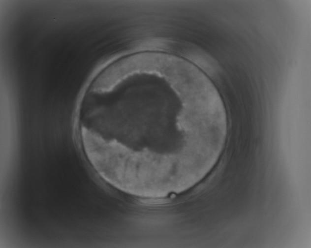 X0000100501200200807111137