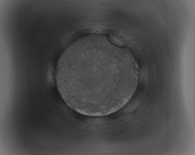 X0000100501202200807111136