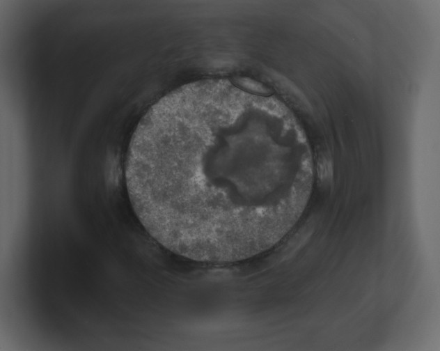 X0000100501204200807111136