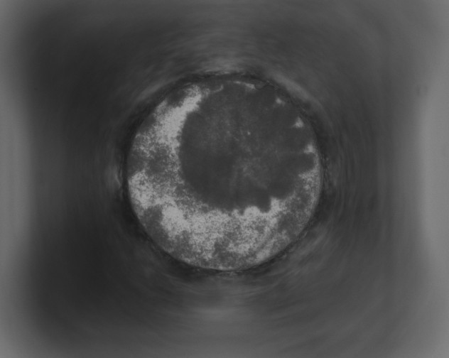 X0000100501206200807111136