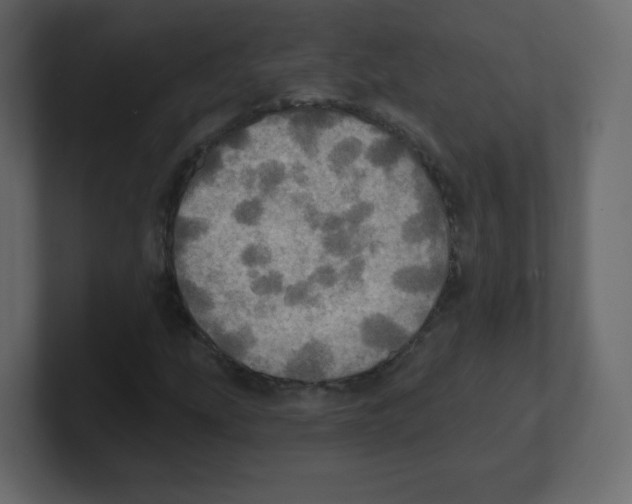 X0000100501207200807111136