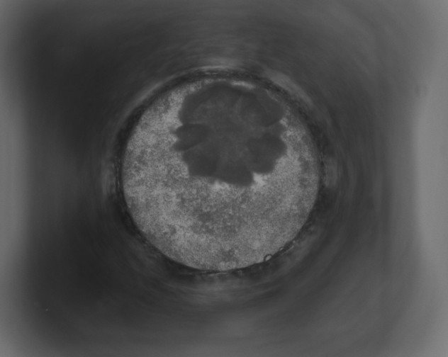 X0000100501208200807111136