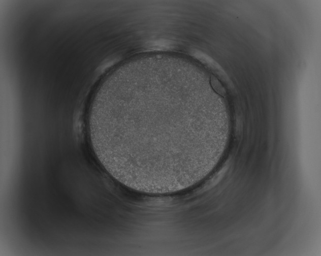 X0000100501210200807111136