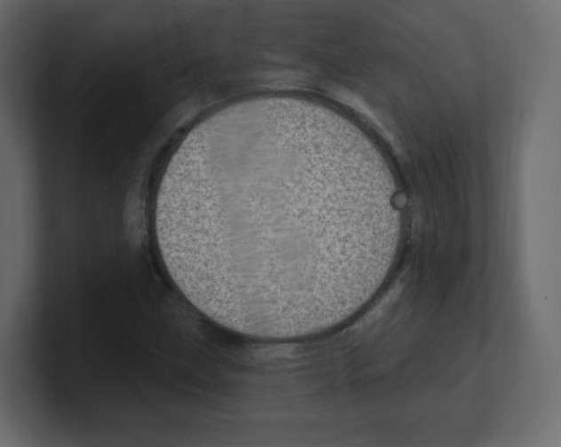 X0000100501211200807111136