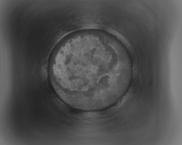 X0000100501212200807111136