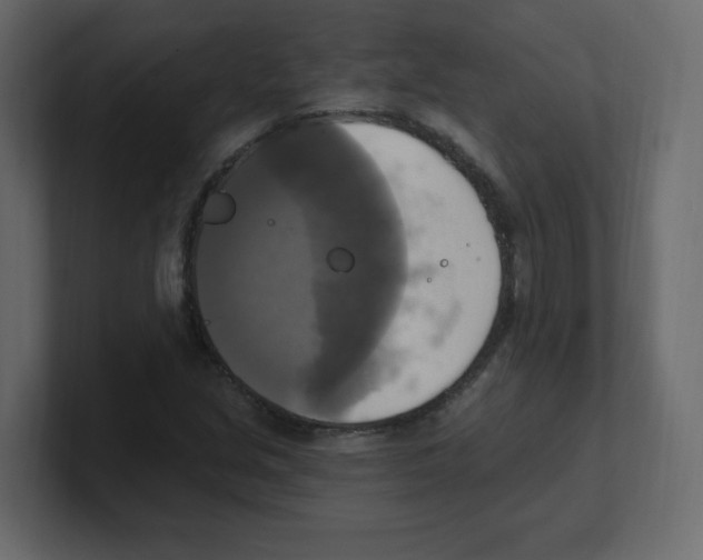 X0000100501213200807111136