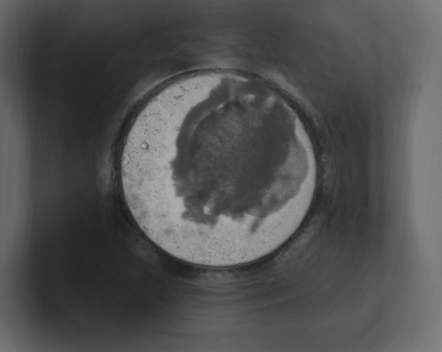 X0000100501215200807111136