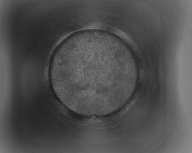 X0000100501216200807111136