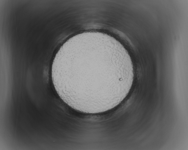 X0000100501217200807111136