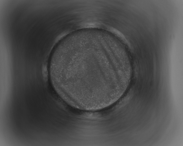 X0000100501218200807111136