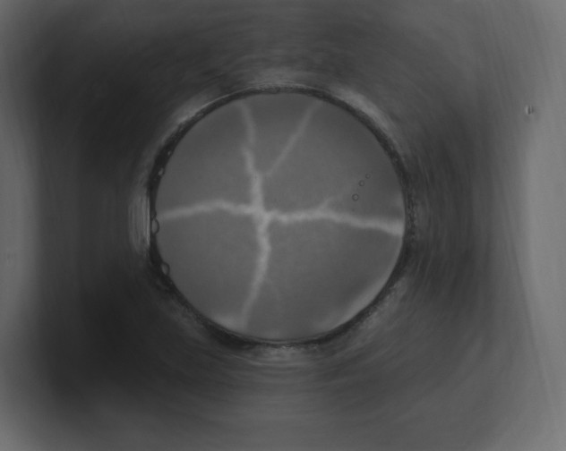 X0000100501219200807111136