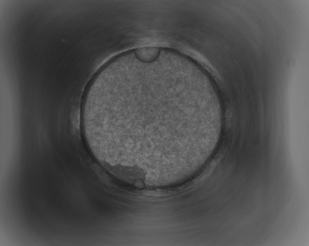 X0000100501220200807111136