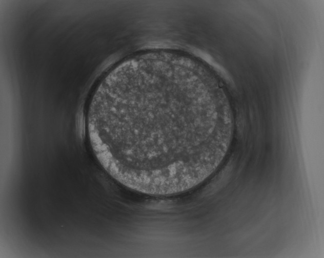 X0000100501221200807111136