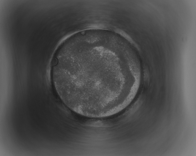 X0000100501222200807111136