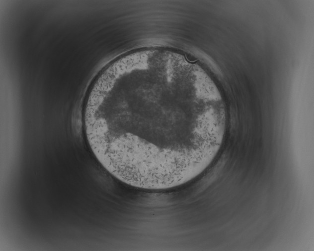 X0000100501226200807111136