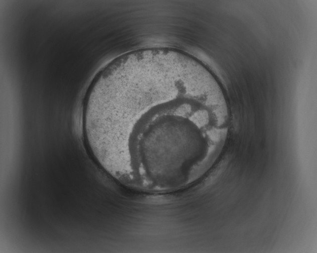 X0000100501227200807111136