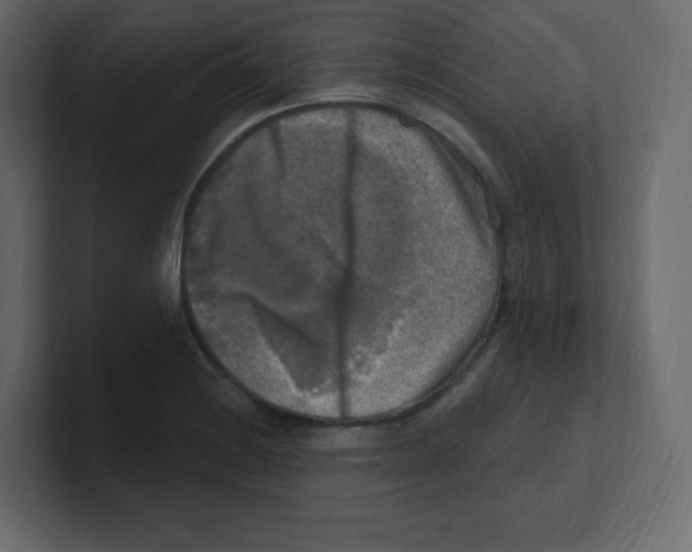 X0000100501228200807111136