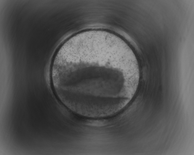 X0000100501229200807111136