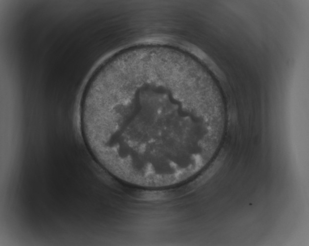 X0000100501232200807111136