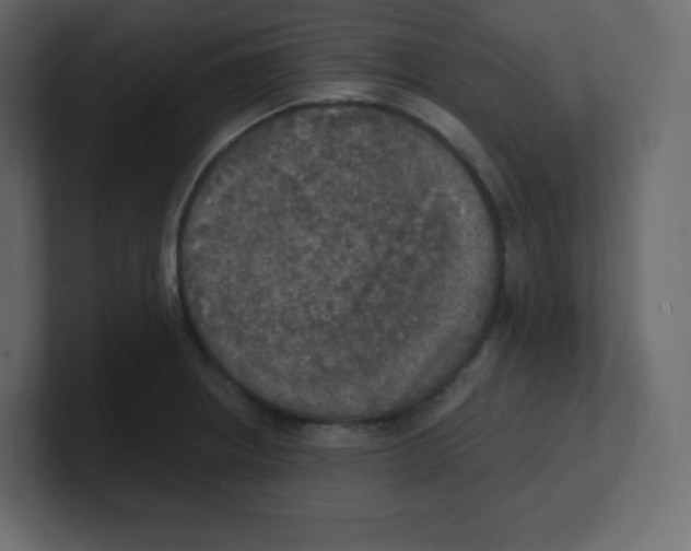 X0000100501234200807111136