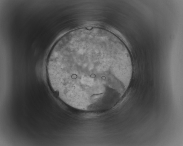 X0000100501235200807111136