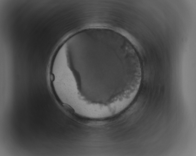 X0000100501237200807111136