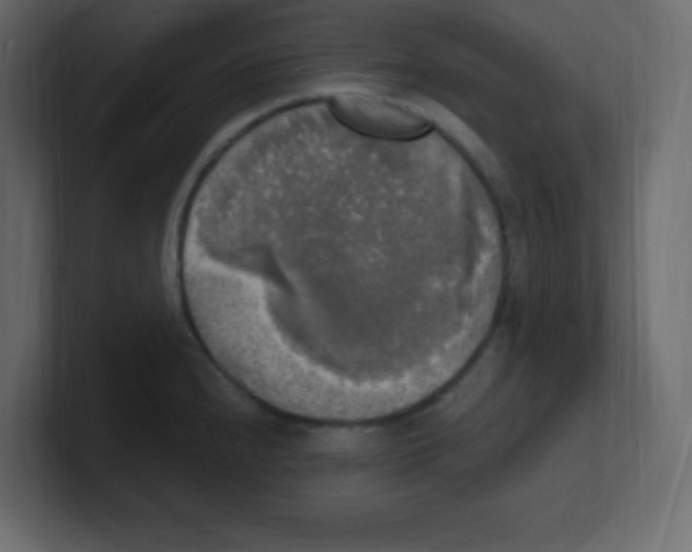 X0000100501240200807111136