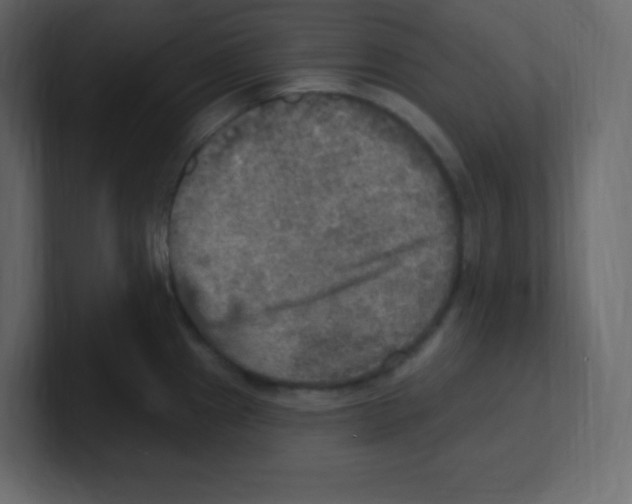 X0000100501241200807111136