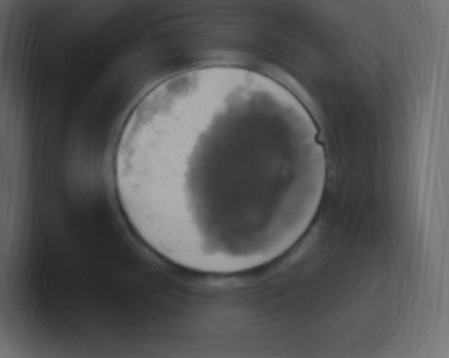 X0000100501243200807111136