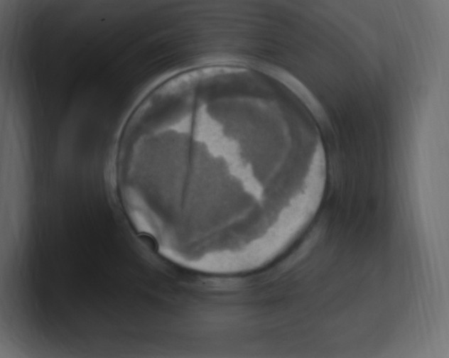 X0000100501244200807111136