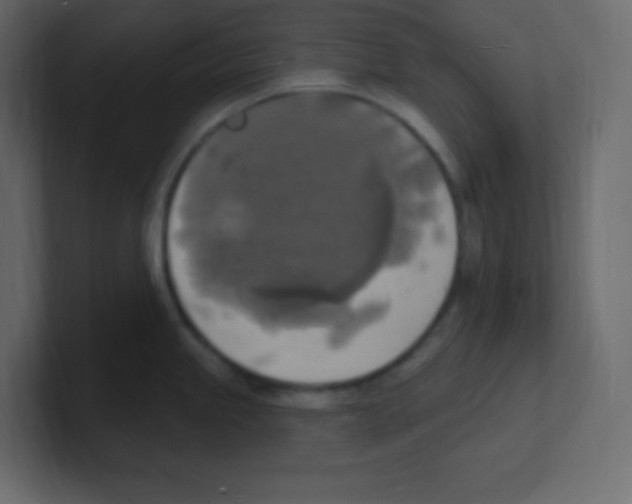 X0000100501245200807111136