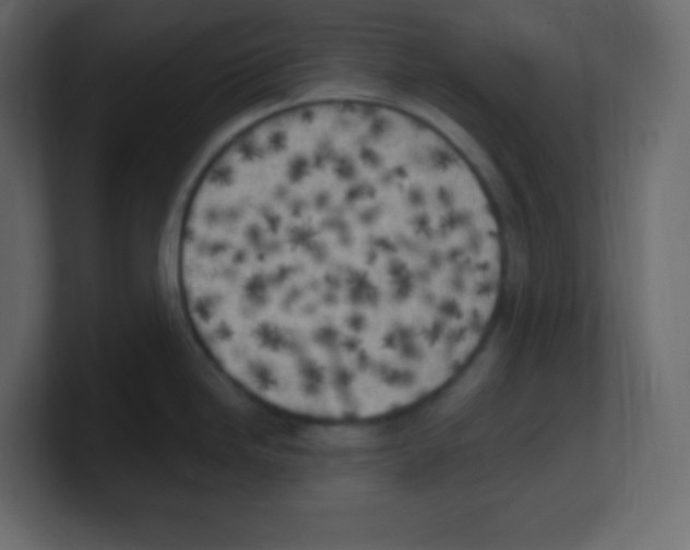 X0000100501246200807111136