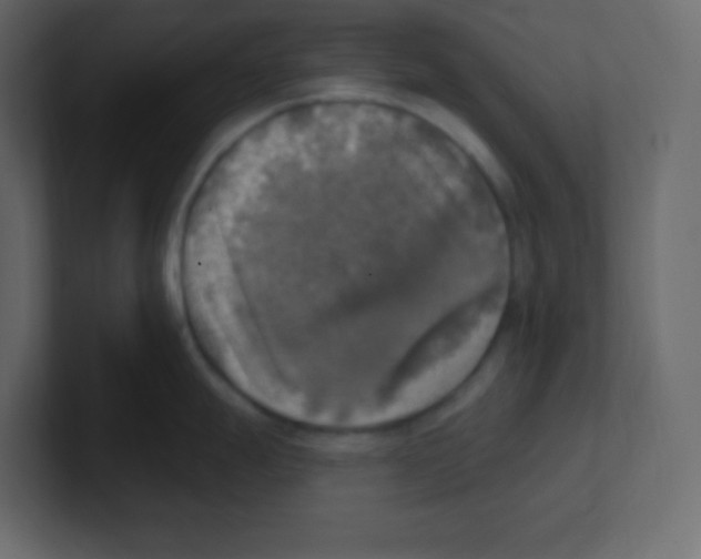 X0000100501247200807111136