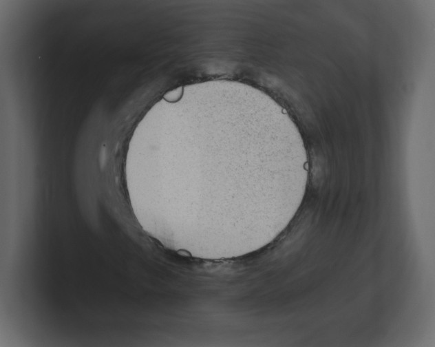 X0000100501249200807111136