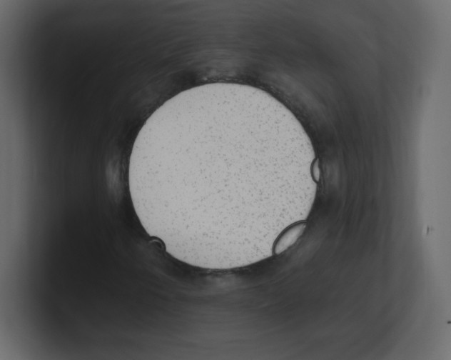 X0000100501250200807111136