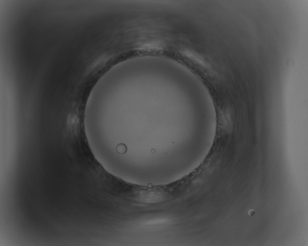 X0000100501254200807111136