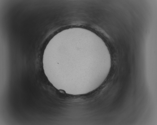 X0000100501256200807111136