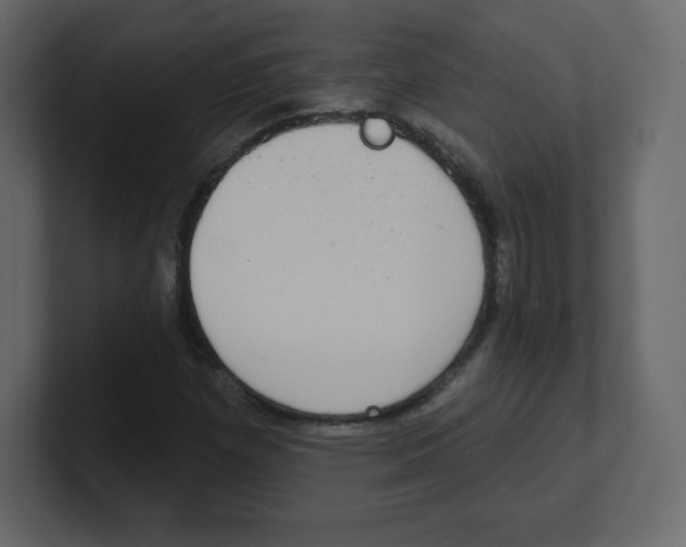 X0000100501257200807111136