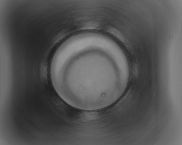 X0000100501258200807111136