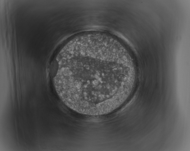 X0000100501259200807111136