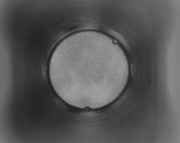 X0000100501260200807111136